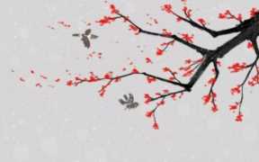 十首著名的梅花诗，最著名的梅花诗词