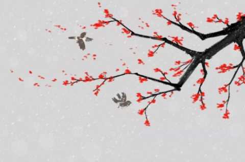 这位唐代诗人太冷门，写了一首梅花诗却流传千古，三四句最经典