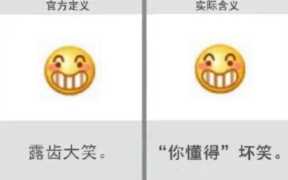 100个表情包含义对照表（各种表情的含义和图解）