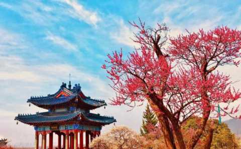 散文诗四首：聆听物语