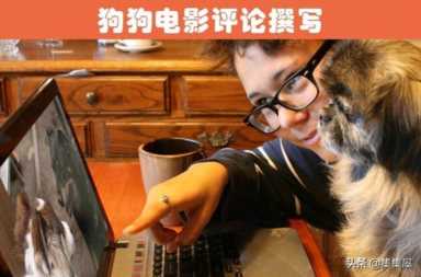 打工什么工作最赚钱,这些冷门工作最挣钱