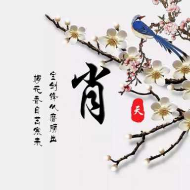 微信头像图片2021最火爆,旺自己的微信头像