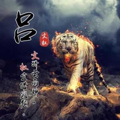 微信头像图片2021最火爆,旺自己的微信头像