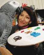 菜鸟是什么意思,菜鸟是什么意思网络流行语言