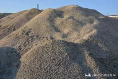 中国饲料排行榜,中国饲料排行榜前十名