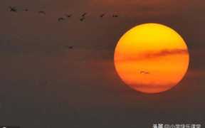 祈使句的回答,祈使句的回答一般用什么或什么