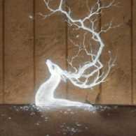 山海经有哪些被证实了，山海经不断被证实