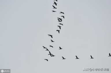 祈使句的回答,祈使句的回答一般用什么或什么