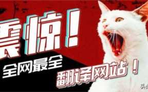 高级口译官网,英语高级口译翻译网站