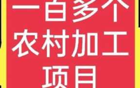 适合农村办厂的项目,适合农村办厂的项目农村项目办厂