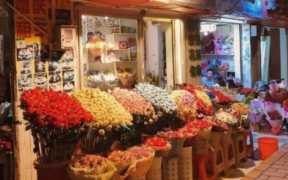 创业开开花店怎么样,女生创业开花店可行吗
