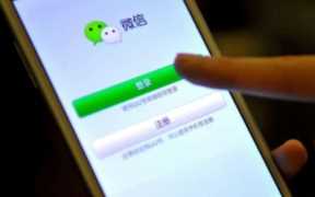 创业黑斑马免费教学,彩色斑马教育加盟