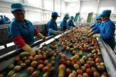 适合农村办厂的项目,适合农村办厂的项目农村项目办厂插图5 适合农村办厂的项目,适合农村办厂的项目农村项目办厂