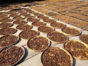 适合农村办厂的项目,适合农村办厂的项目农村项目办厂插图11 适合农村办厂的项目,适合农村办厂的项目农村项目办厂