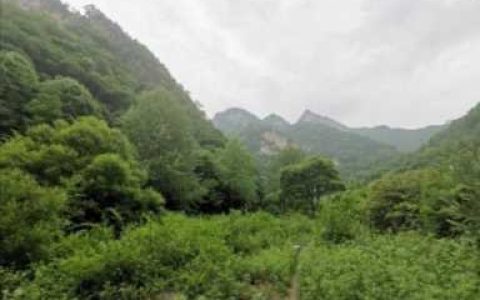 金岩沟旅游风景区照片