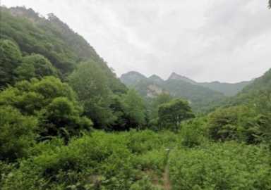 金岩沟旅游风景区照片