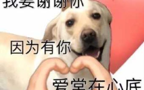 好莱坞最新大片,2022年好莱坞最新大片