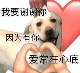 好莱坞最新大片,2022年好莱坞最新大片