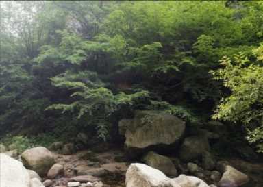 金岩沟旅游风景区照片