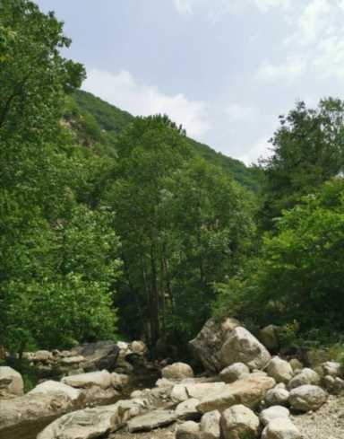 金岩沟旅游风景区照片