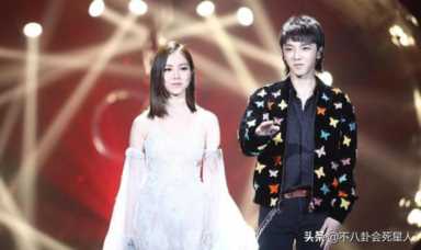 邓紫棋疑内涵华晨宇,邓紫棋把华晨宇写进歌里