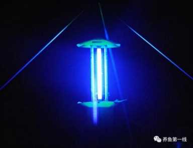 蜻蜓幼虫水虿长什么样？蜻蜓幼虫图片