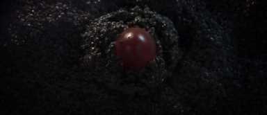 草莓是蚯蚓变得吗,草莓是蚯蚓生长的吗