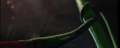 草莓是蚯蚓变得吗,草莓是蚯蚓生长的吗