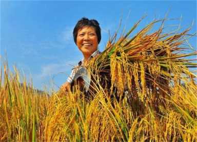 北大博士王福重简介