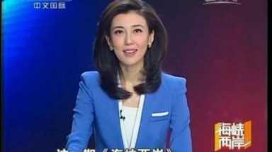 海峡两岸主持人李红,李红长得最漂亮了