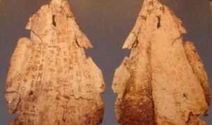 汉字的演变过程，汉字的起源及演变过程