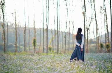 树上春树是谁？树上春树有什么作品