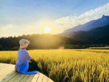 树上春树是谁？树上春树有什么作品