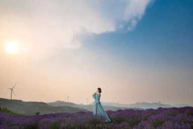 树上春树是谁？树上春树有什么作品