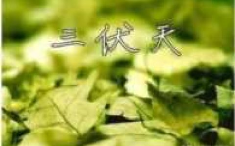 哪天入伏2022年（2022年哪天开始入伏）