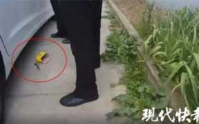 吸笑气后女生的生理反应（吸笑气什么反应）