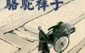 骆驼祥子读书笔记摘抄（骆驼祥子读书笔记摘抄第十章）