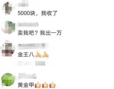 黄金鳖长什么样子（黄金鳖吃什么东西）