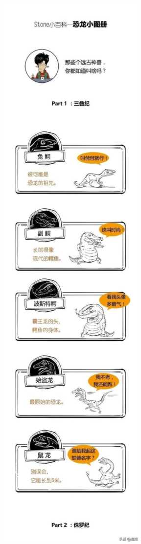 恐龙有多少种类（恐龙名字大全1000多种）