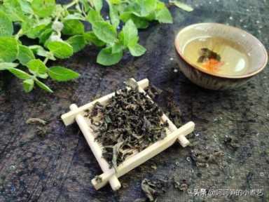 薄荷叶泡水（薄荷叶泡水用开水还是温水）