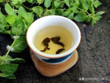 薄荷叶泡水（薄荷叶泡水用开水还是温水）