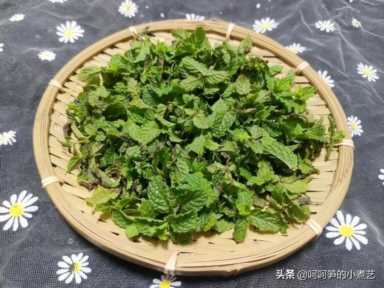 薄荷叶泡水（薄荷叶泡水用开水还是温水）
