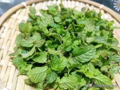 薄荷叶泡水（薄荷叶泡水用开水还是温水）