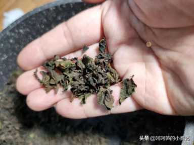 薄荷叶泡水（薄荷叶泡水用开水还是温水）