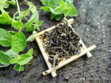 薄荷叶泡水（薄荷叶泡水用开水还是温水）