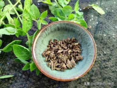 薄荷叶泡水（薄荷叶泡水用开水还是温水）