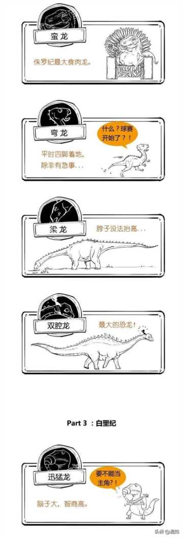 恐龙有多少种类（恐龙名字大全1000多种）