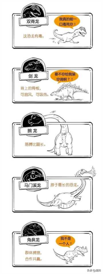 恐龙有多少种类（恐龙名字大全1000多种）