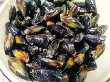 海虹放冰箱能放几天(海虹冰箱里放了两天还能吃吗)插图5 海虹放冰箱能放几天(海虹冰箱里放了两天还能吃吗)