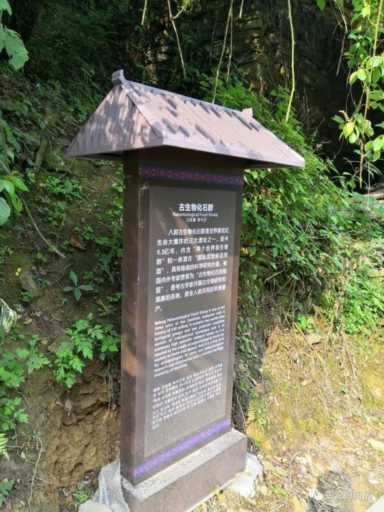 作用力和反作用力作用在同一物体上